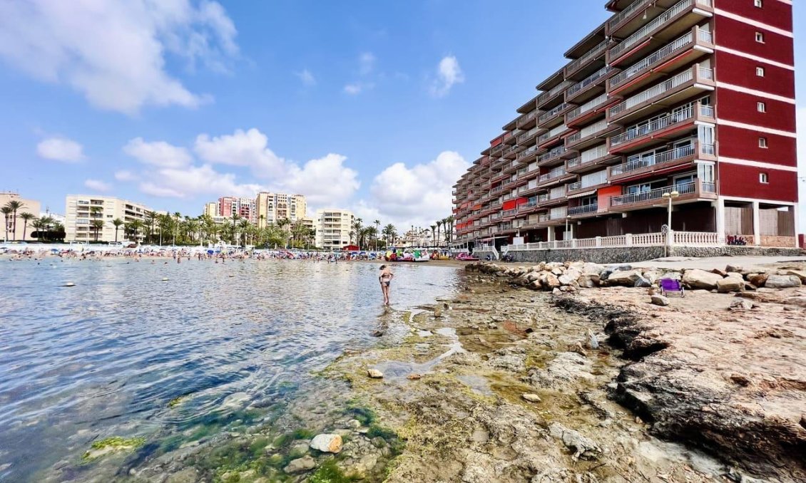 Segunda mano - Apartamento -
Torrevieja - Aldea Del Mar