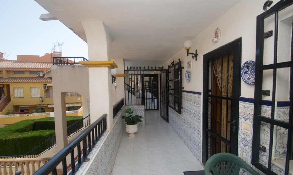 Segunda mano - Apartamento -
Torrevieja - Mar Azul