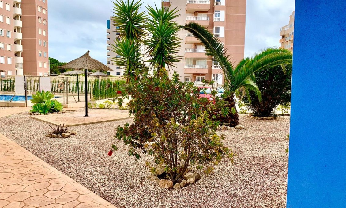 Segunda mano - Apartamento -
Guardamar del Segura - Puerto