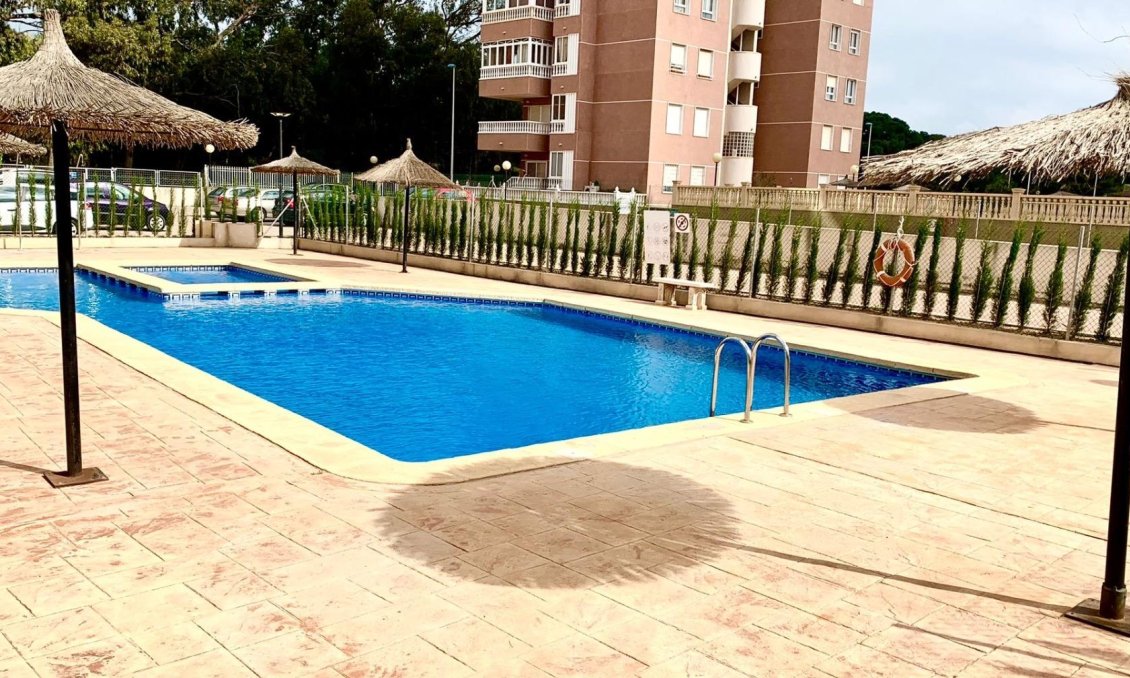 Segunda mano - Apartamento -
Guardamar del Segura - Puerto