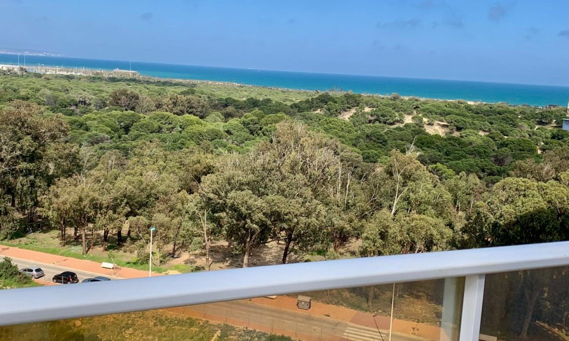 Segunda mano - Apartamento -
Guardamar del Segura - Puerto