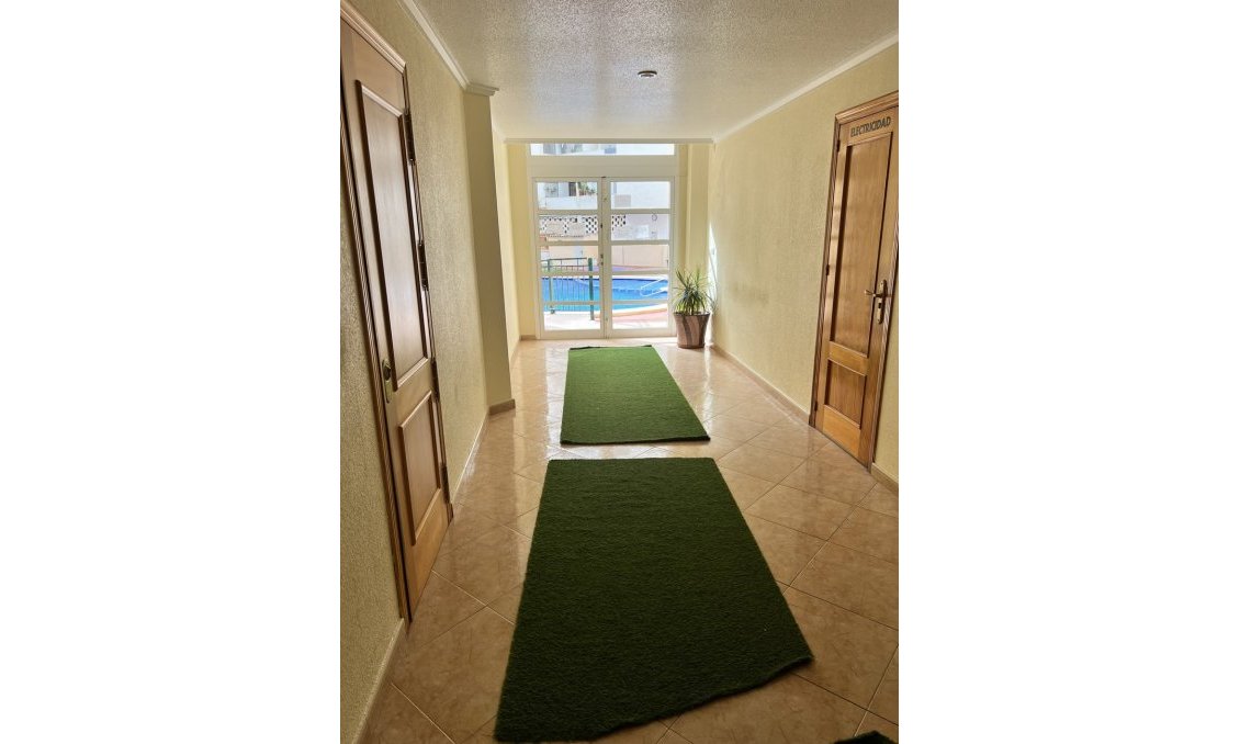 Segunda mano - Apartamento -
Torrevieja - Centro