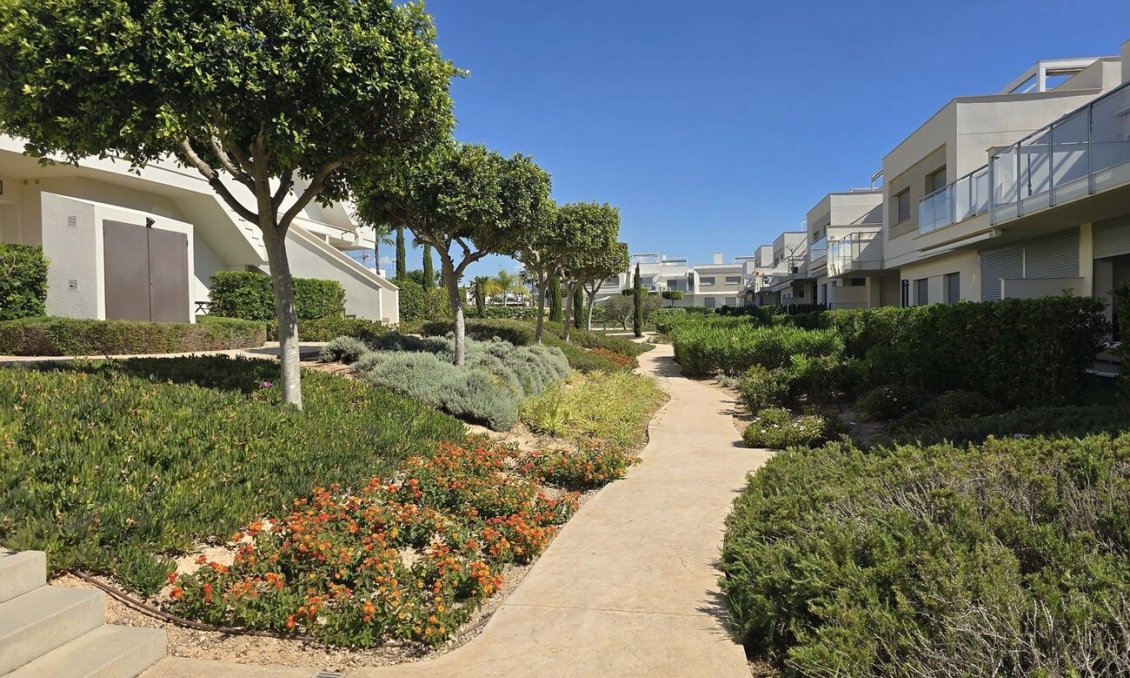 Resale - Penthouse Penthouse -
Vistabella Golf Entre Naranjos