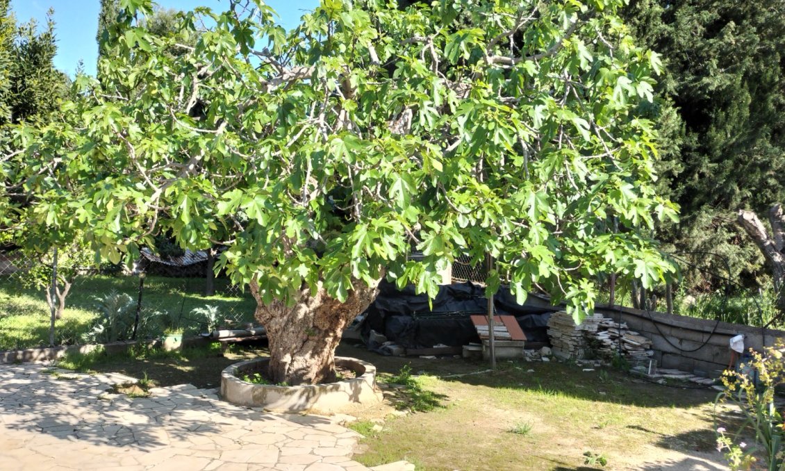 Segunda mano - Villa -
Elda - Inland