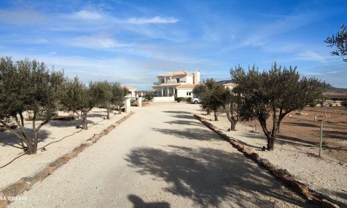 Wiederverkauf - Villa -
Pinoso - Inland