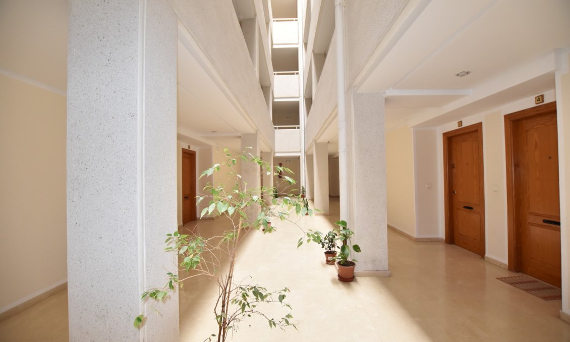 Segunda mano - Apartamento -
Torrevieja - Costa Blanca