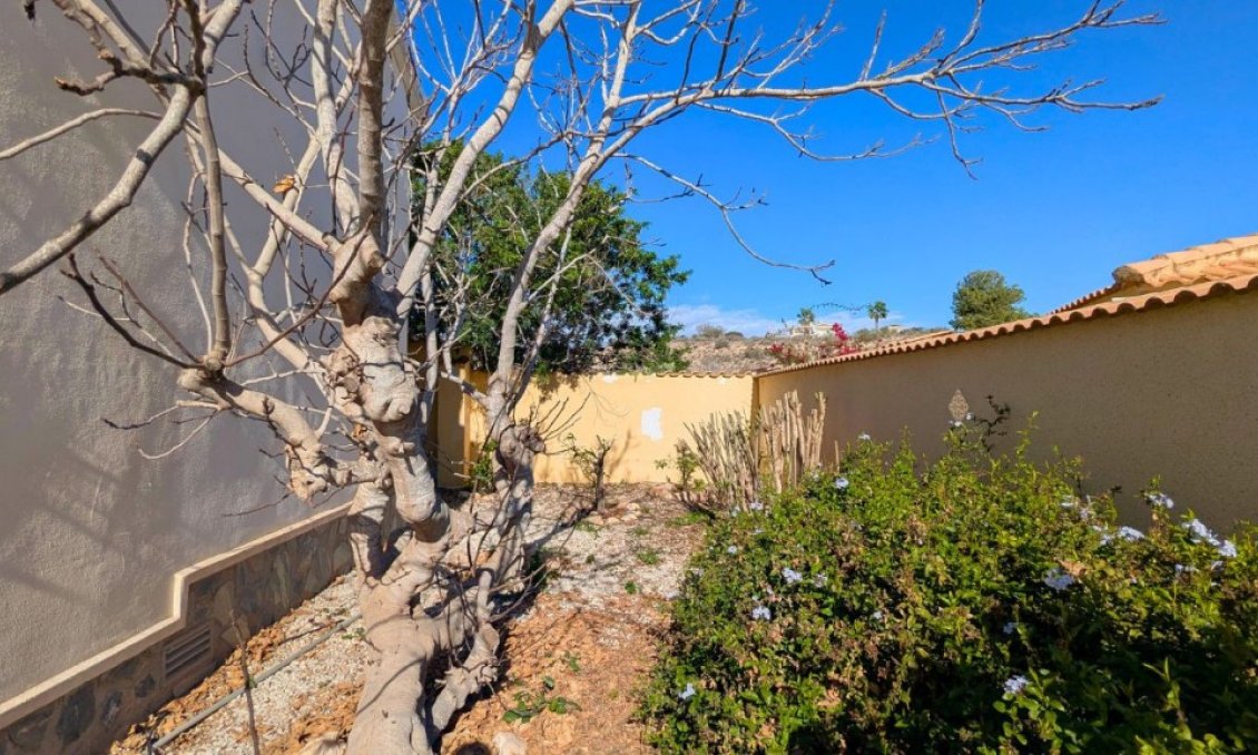 Segunda mano - Villa -
Ciudad Quesada - Costa Blanca