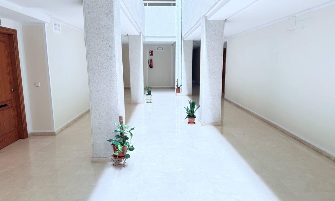 Segunda mano - Apartamento -
Torrevieja - La Mata