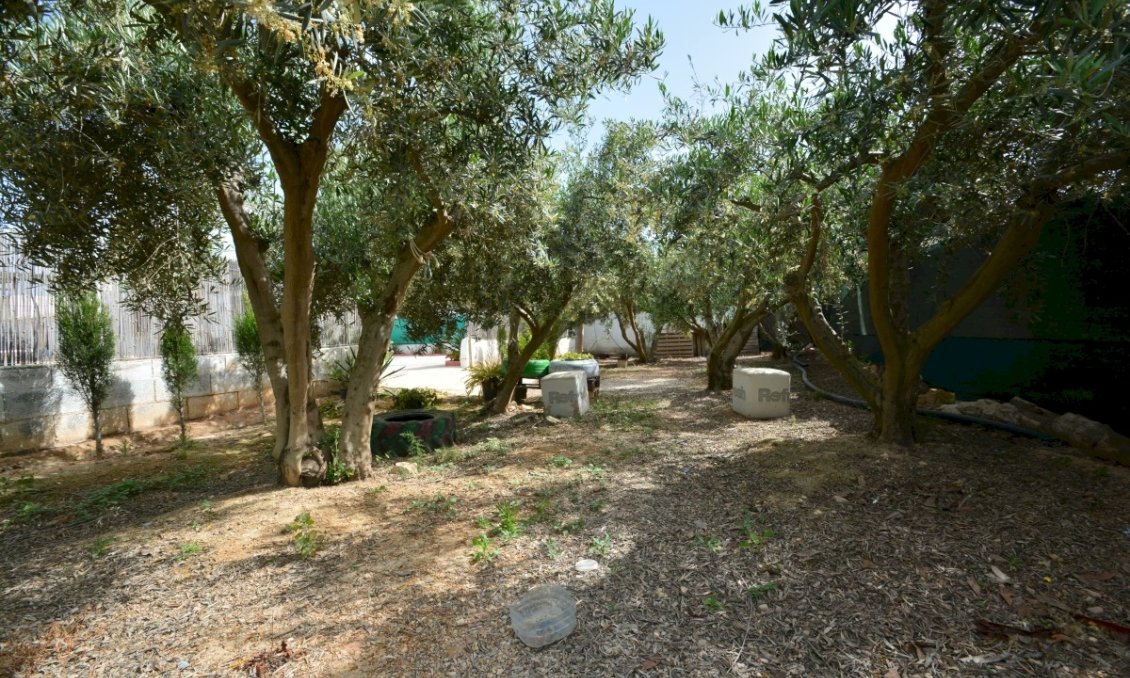 Wiederverkauf - Villa -
Guardamar del Segura - Costa Blanca