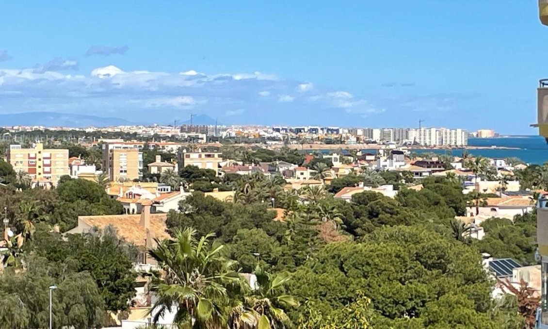 Wiederverkauf - Wohnung -
La Zenia - Costa Blanca
