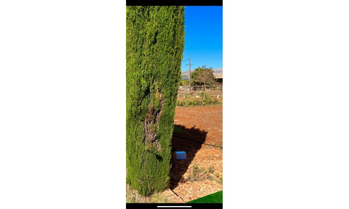 Segunda mano - Villa -
Pedreguer - Inland