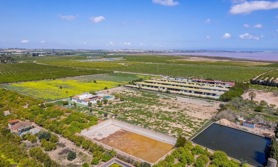 Segunda mano - Villa -
Los Montesinos - Costa Blanca