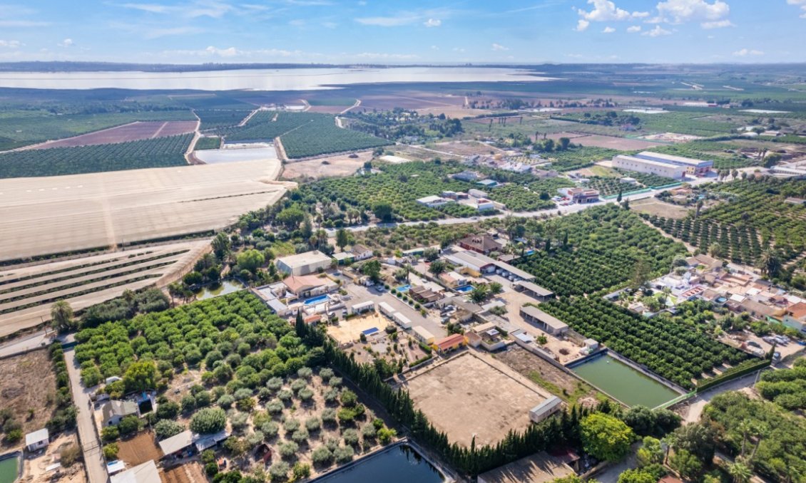 Segunda mano - Villa -
Los Montesinos - Costa Blanca
