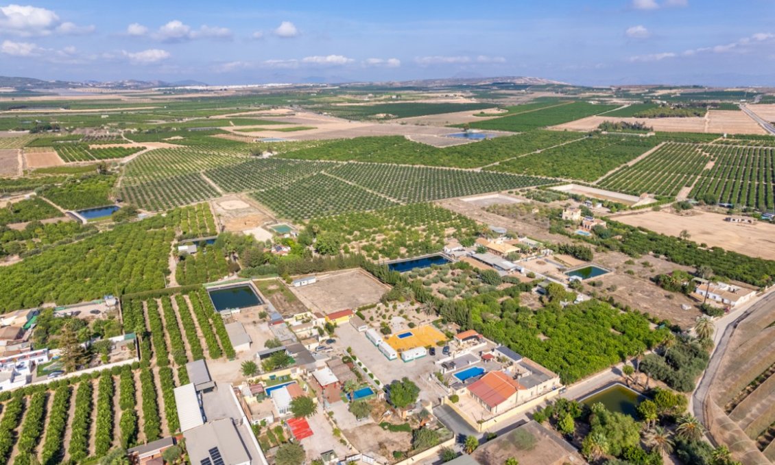 Segunda mano - Villa -
Los Montesinos - Costa Blanca