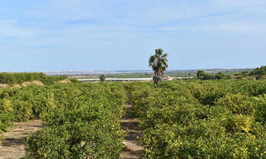 Segunda mano - Villa -
Torremendo - Costa Blanca