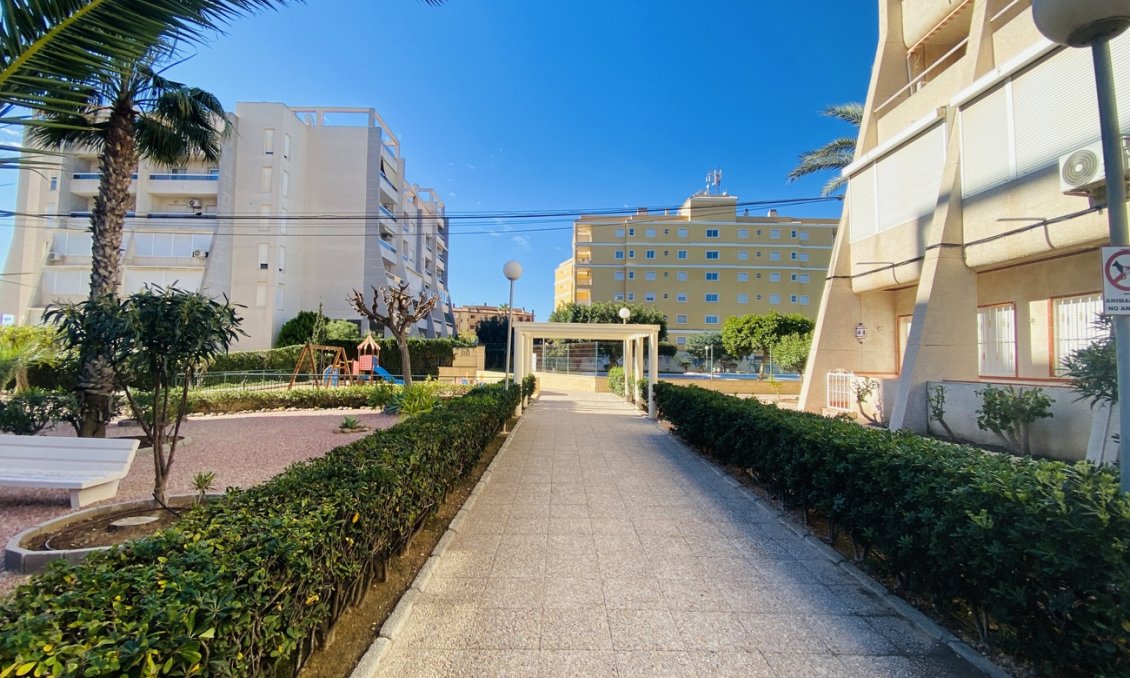 Wiederverkauf - Wohnung -
Torrevieja