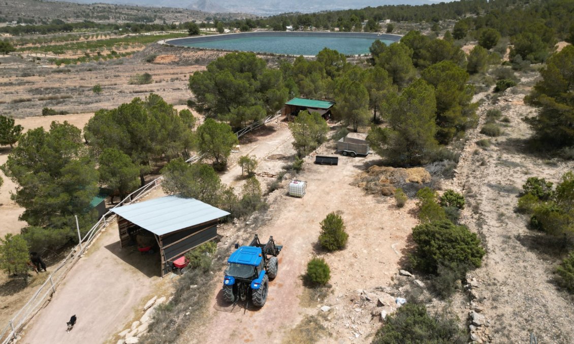 Segunda mano - Villa -
Monóvar/Monóver - Inland