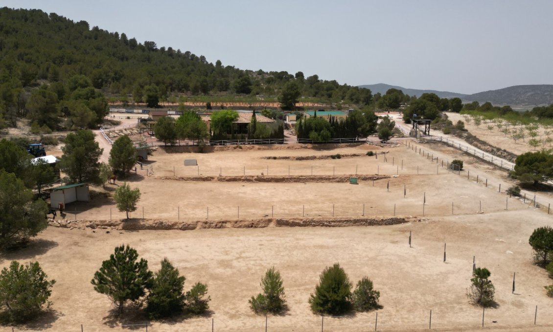 Segunda mano - Villa -
Monóvar/Monóver - Inland