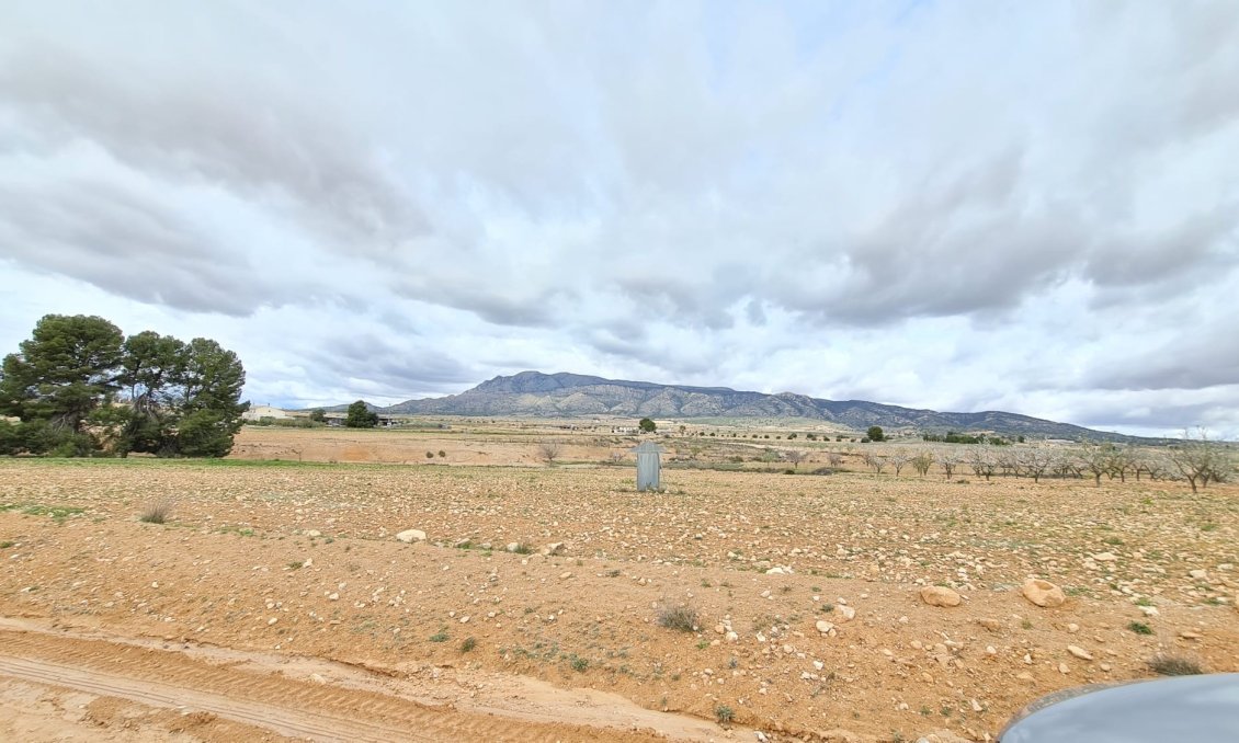 Segunda mano - Villa -
Torre Del Rico - Inland
