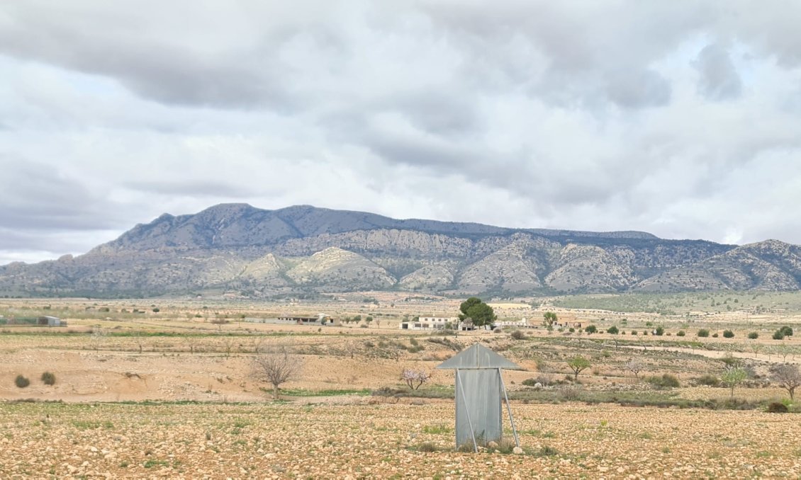 Segunda mano - Villa -
Torre Del Rico - Inland