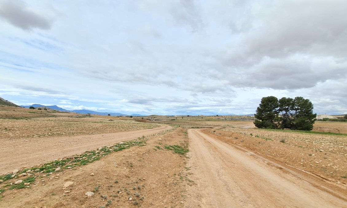 Segunda mano - Villa -
Torre Del Rico - Inland