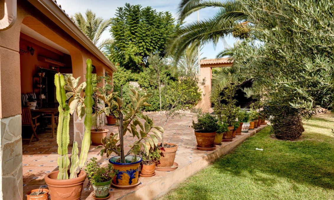 Segunda mano - Villa -
Torrevieja - San Luis
