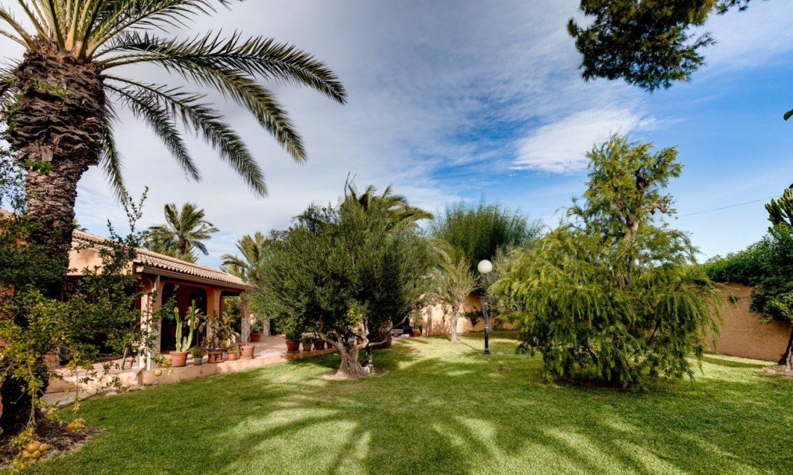 Segunda mano - Villa -
Torrevieja - San Luis