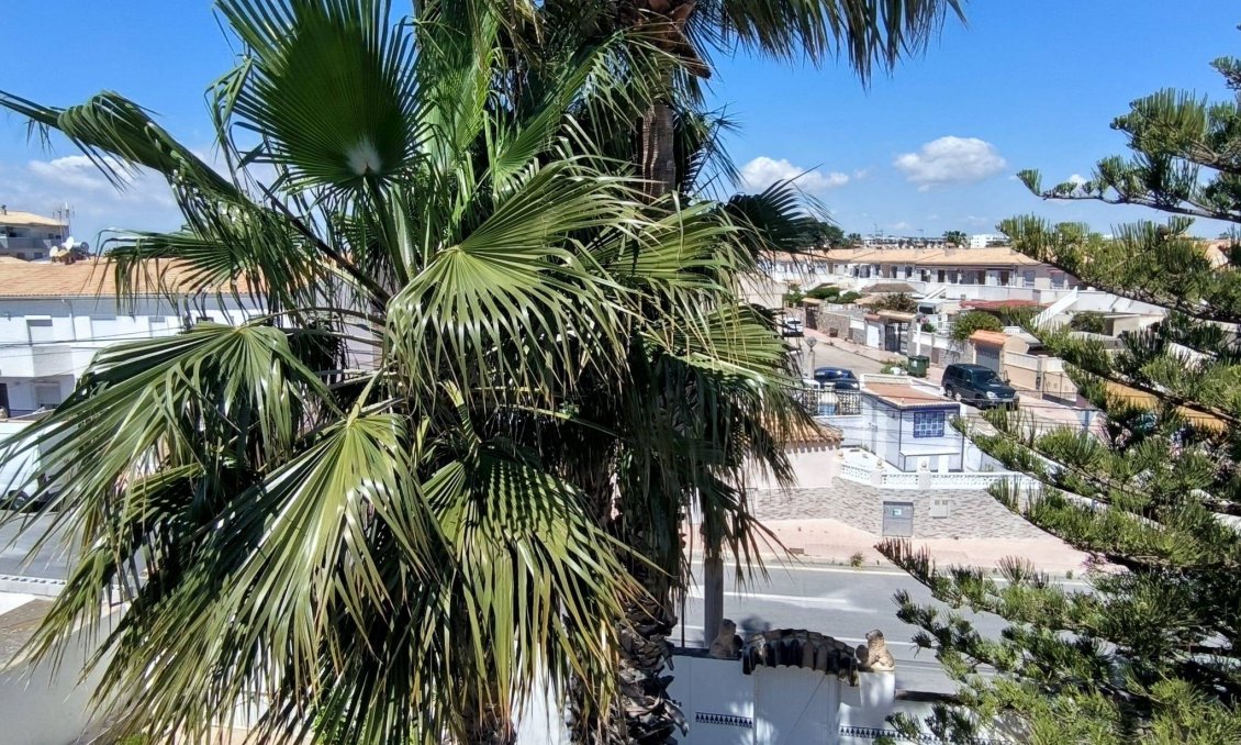 Segunda mano - Town House -
Orihuela Costa - Cabo Roig