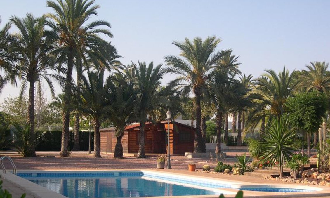 Segunda mano - Villa -
Elche - Costa Blanca
