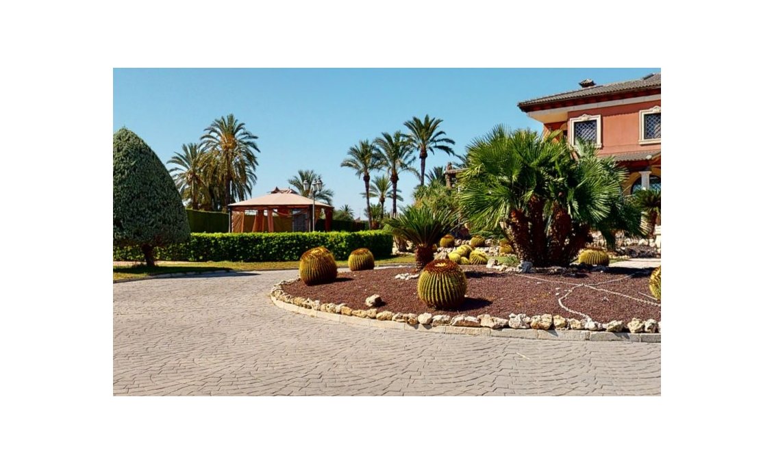 Segunda mano - Villa -
Elche - Costa Blanca