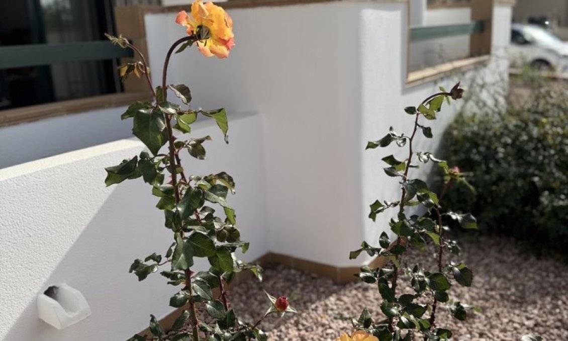 Segunda mano - Apartamento -
Orihuela Costa - Costa Blanca