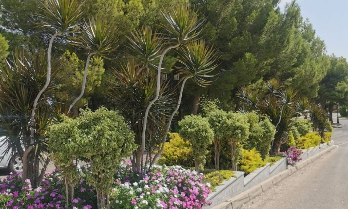 Segunda mano - Apartamento -
Orihuela Costa - Costa Blanca
