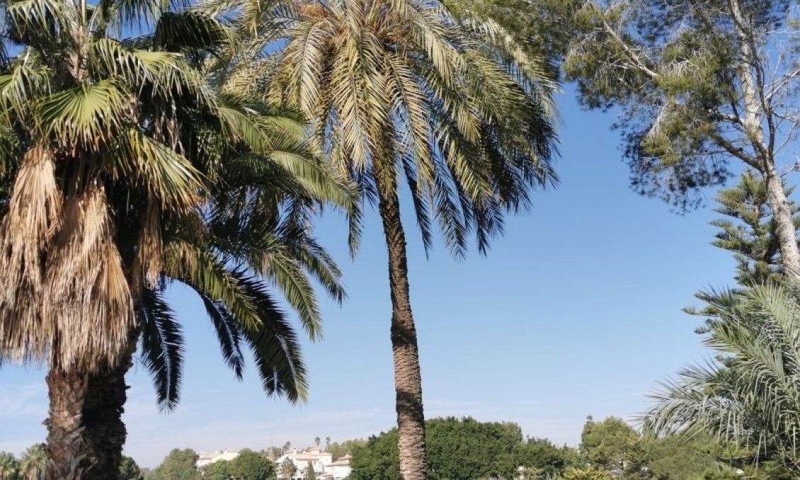 Segunda mano - Apartamento -
Orihuela Costa - Costa Blanca