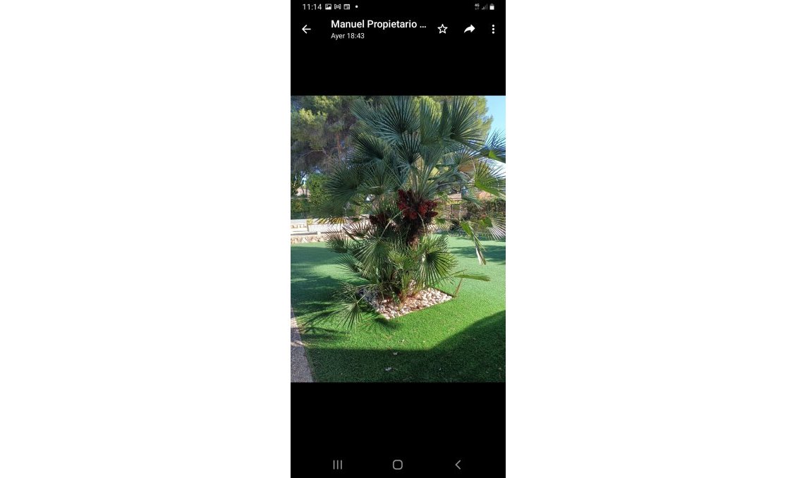 Segunda mano - Villa -
Campoamor - Costa Blanca