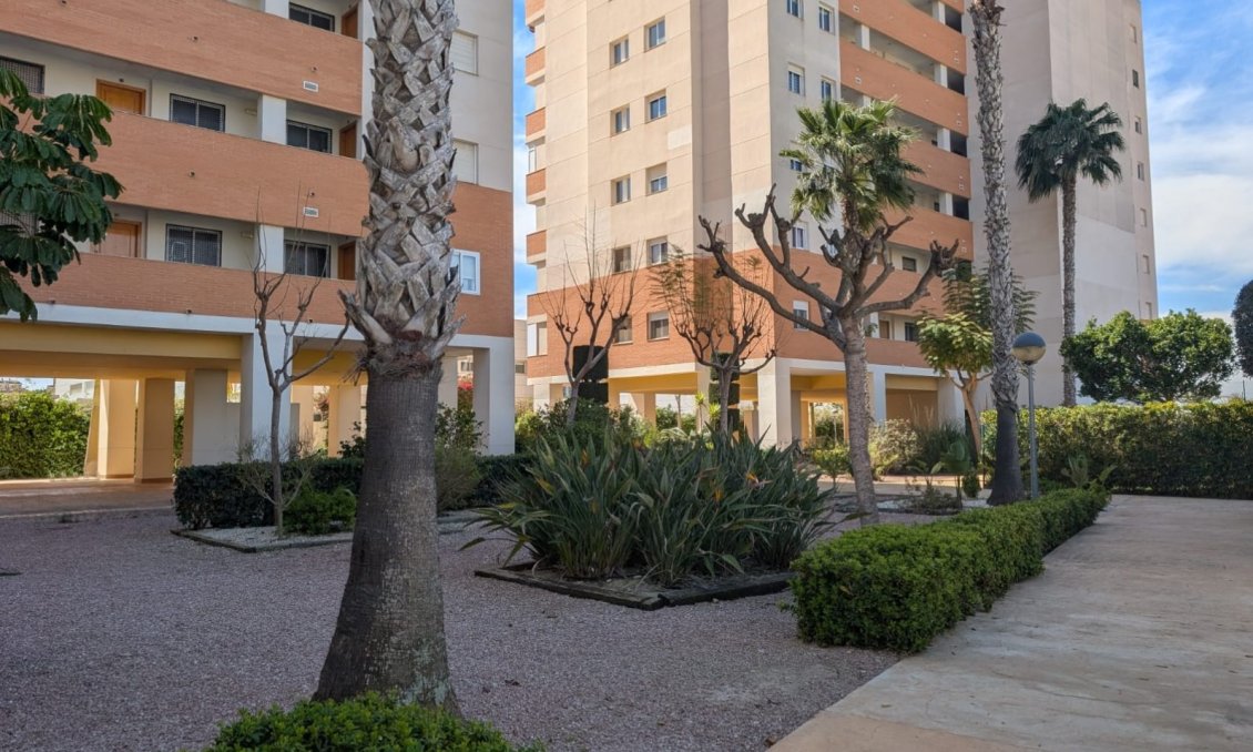 Segunda mano - Apartamento -
Guardamar del Segura - Costa Blanca