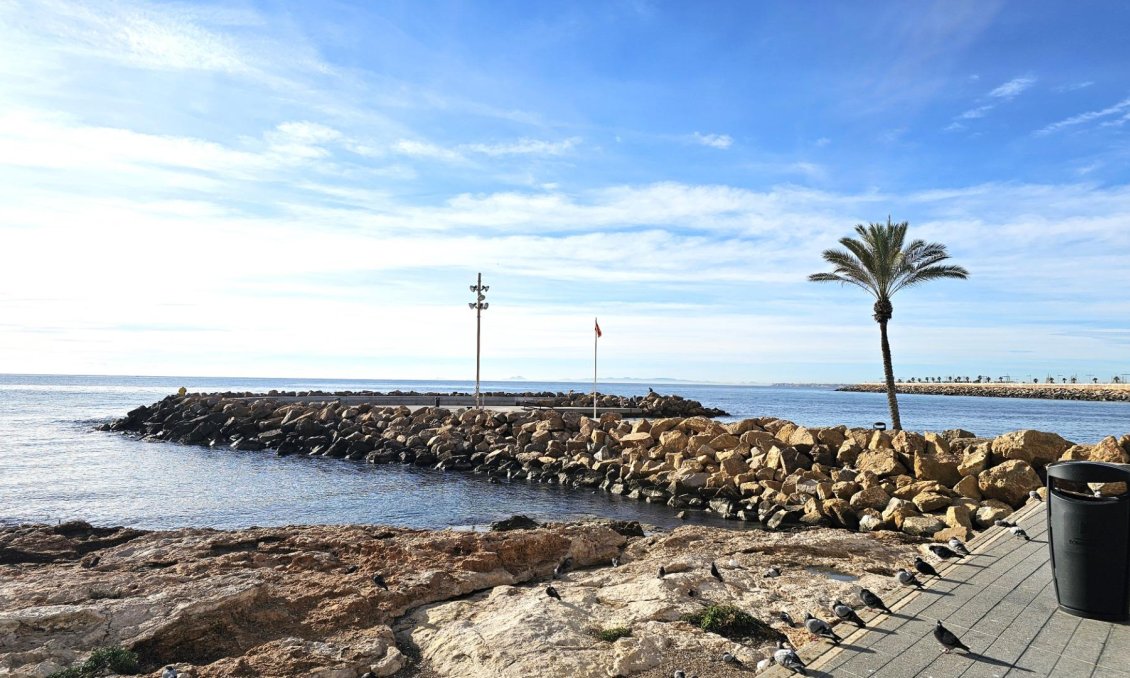 Segunda mano - Apartamento -
Torrevieja - Centro