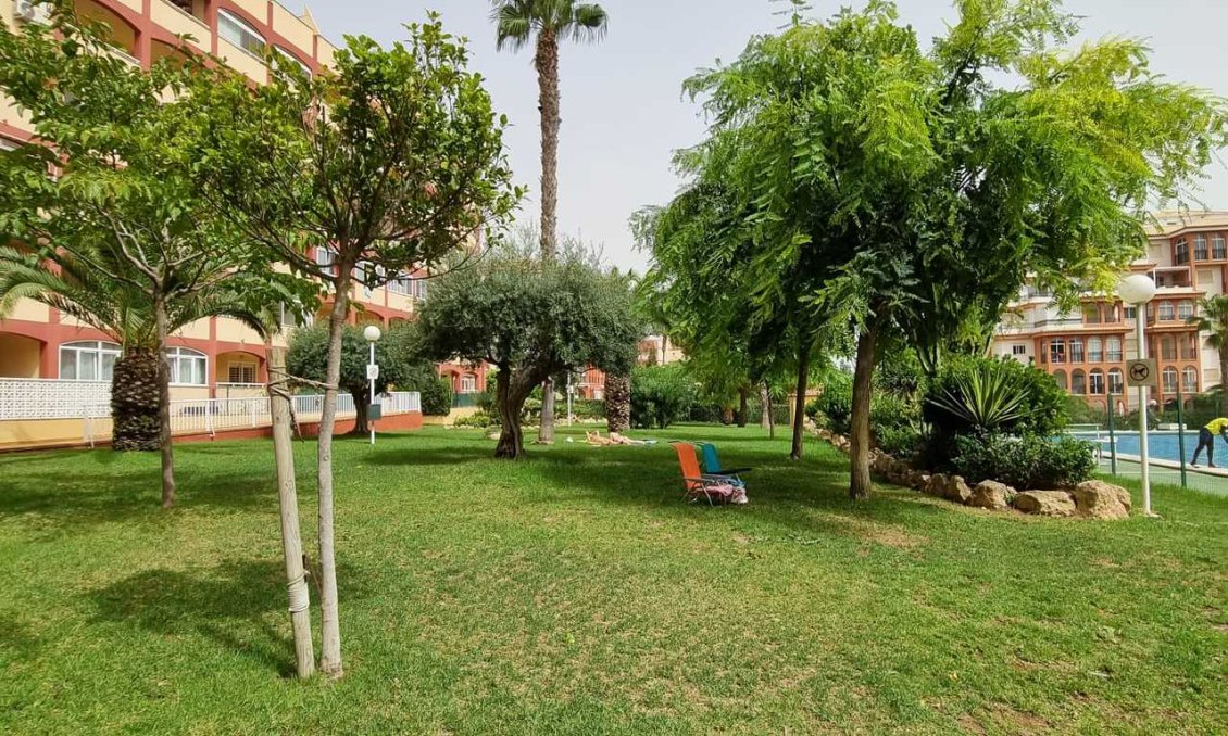 Segunda mano - Apartamento -
Torrevieja - Costa Blanca