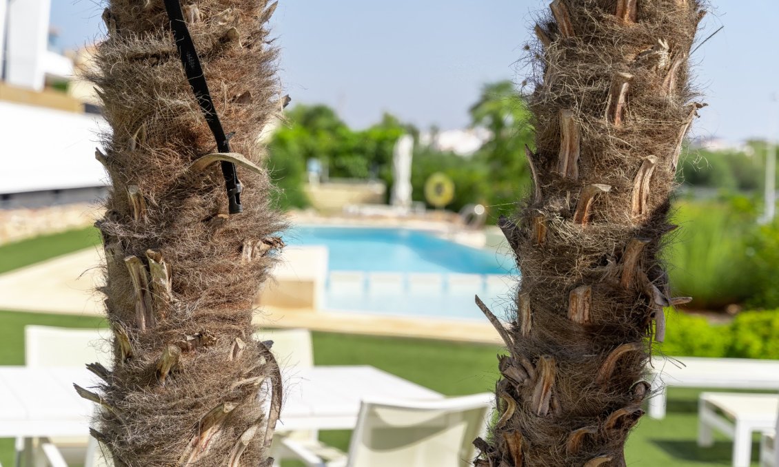 Segunda mano - Ático -
Orihuela Costa - Costa Blanca