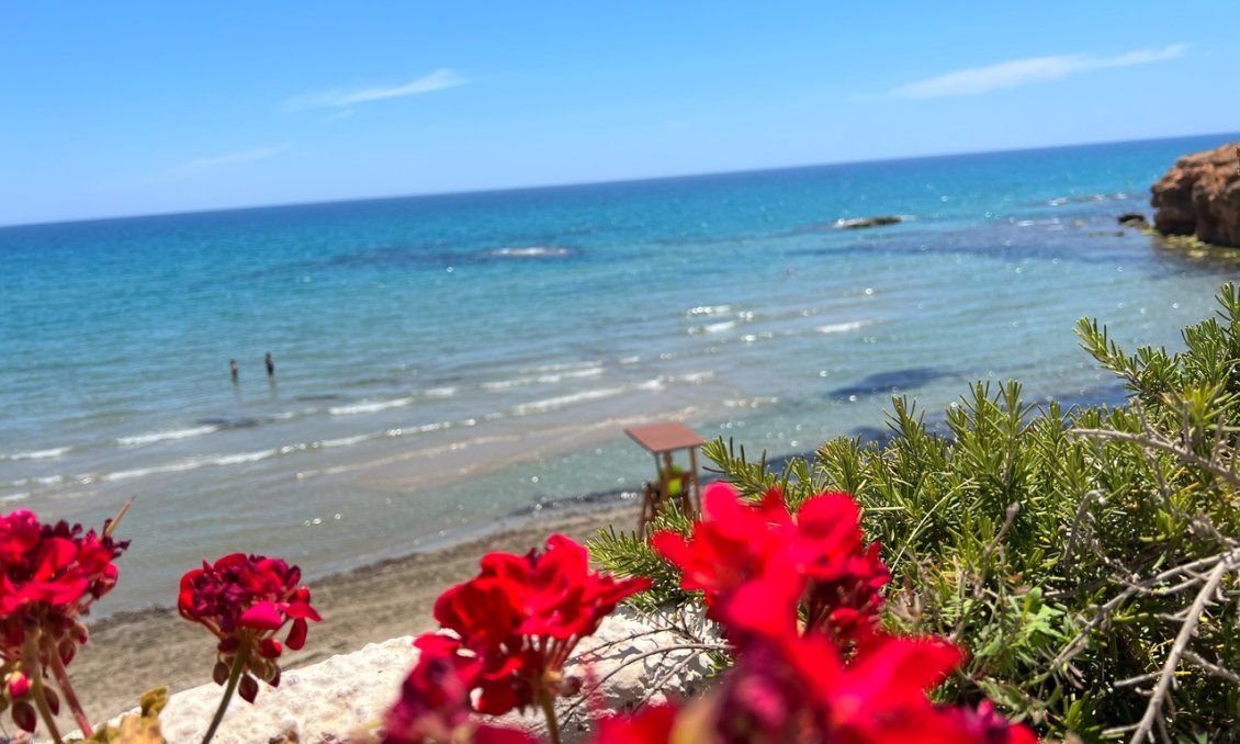 Wiederverkauf - Villa -
Pilar de la Horadada - Costa Blanca
