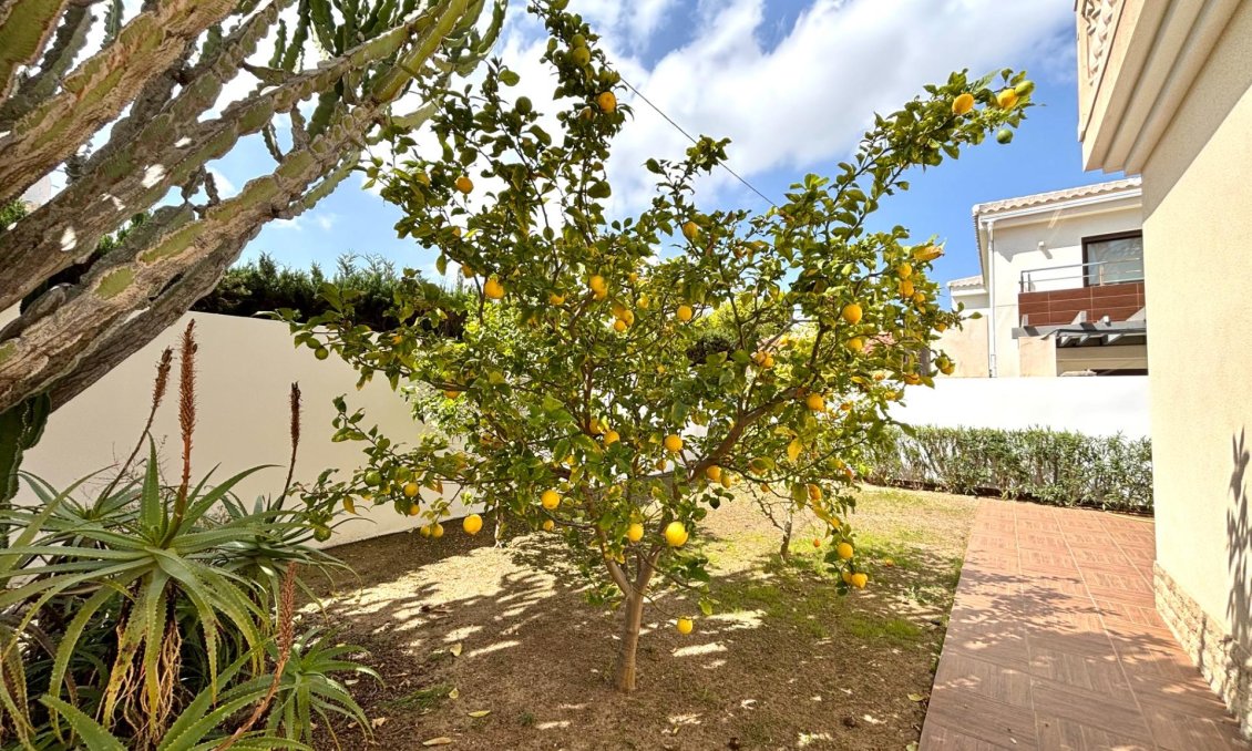 Segunda mano - Villa -
Cabo Roig - Costa Blanca