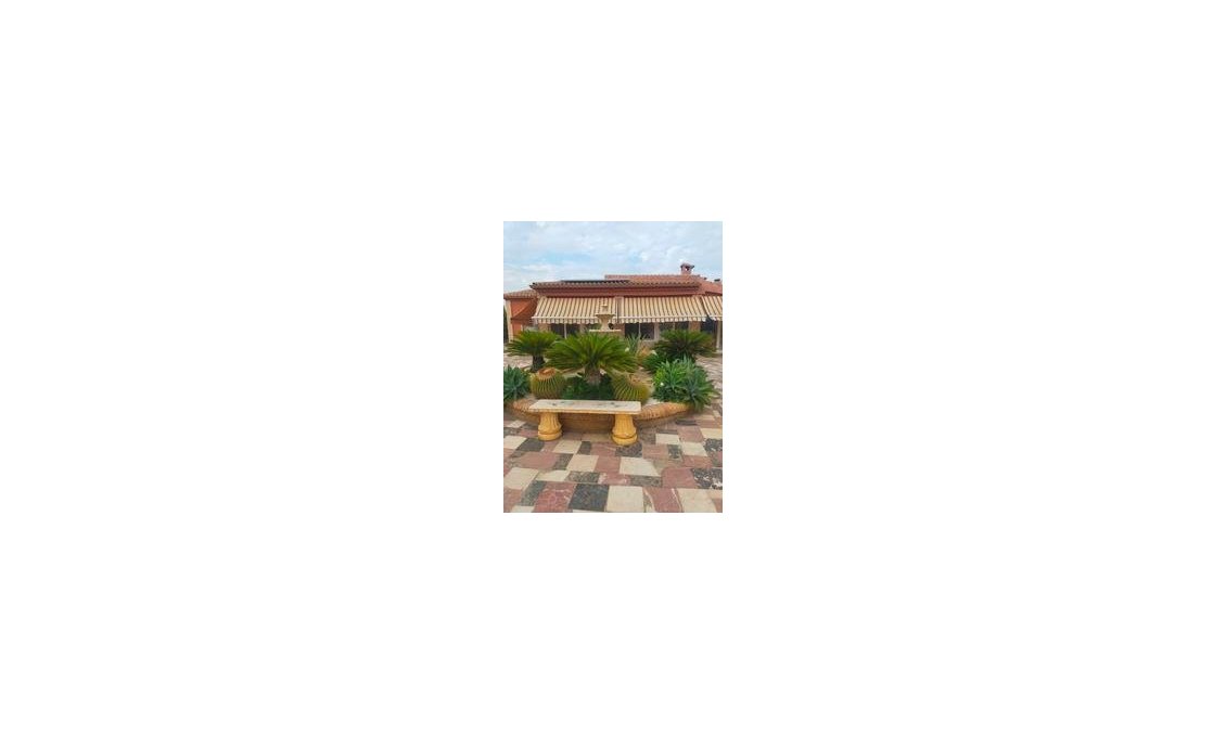 Segunda mano - Villa -
Elche - Costa Blanca
