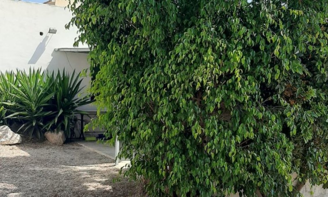 Segunda mano - Villa -
Macisvenda - Inland