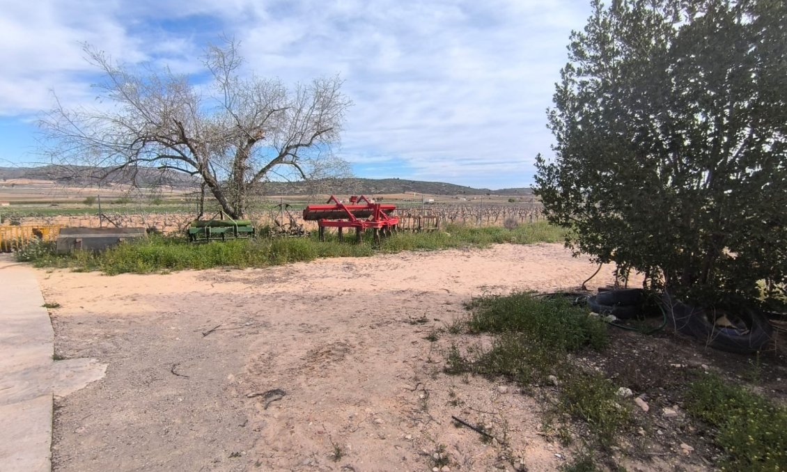 Segunda mano - Semi Detached -
Yecla - Inland