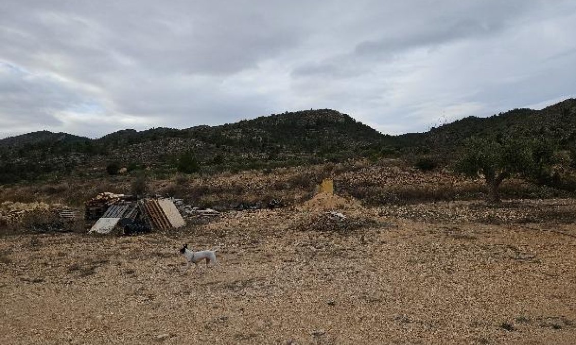 Segunda mano - Villa -
Monóvar/Monóver - 03640
