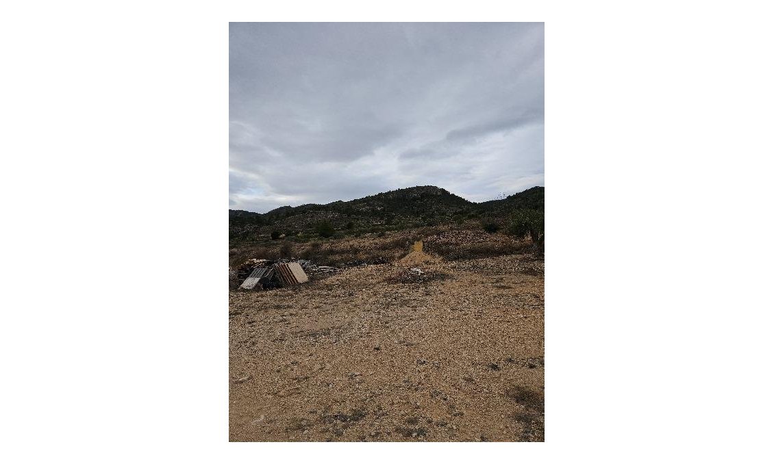 Segunda mano - Villa -
Monóvar/Monóver - 03640