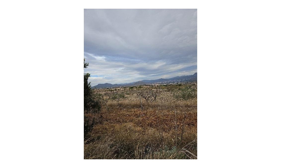 Segunda mano - Villa -
Monóvar/Monóver - 03640