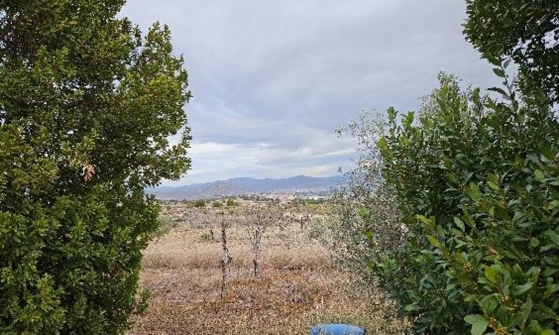 Segunda mano - Villa -
Monóvar/Monóver - 03640