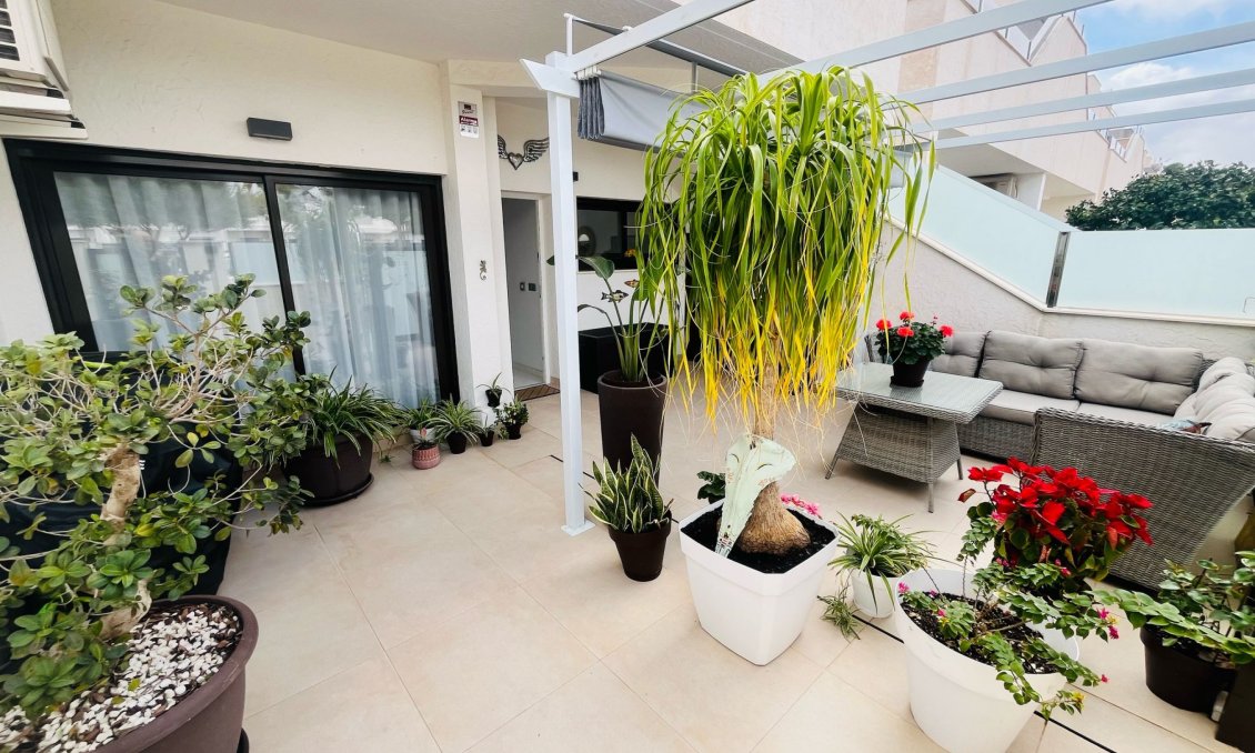 Segunda mano - Apartamento -
Dolores de Pacheco - Inland