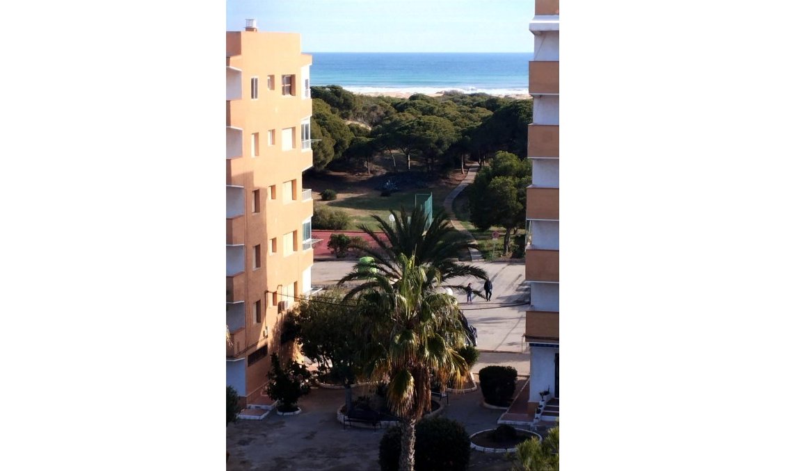 Wiederverkauf - Wohnung -
Guardamar del Segura - Pinomar