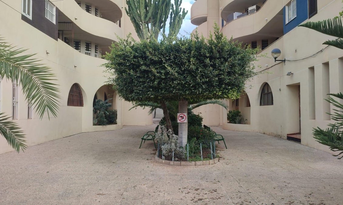Használt Ingatlanok - Apartman -
Torrevieja - La Veleta
